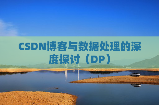 CSDN博客与数据处理的深度探讨（DP）